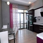 Kirayə (aylıq) 4 otaqlı Yeni Tikili, Nəriman Nərimanov metrosu, Nərimanov rayonu 20