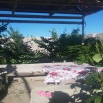 Satılır 4 otaqlı Bağ evi, Maştağa qəs., Sabunçu rayonu 16
