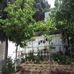 Satılır 7 otaqlı Həyət evi/villa, Balaxanı qəs., Sabunçu rayonu 4