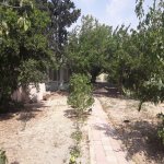 Kirayə (aylıq) 3 otaqlı Bağ evi, Pirşağı qəs., Sabunçu rayonu 6