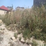 Satılır Torpaq, Masazır, Abşeron rayonu 4