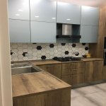 Kirayə (aylıq) 2 otaqlı Yeni Tikili, Gənclik metrosu, Nərimanov rayonu 18