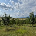 Satılır Torpaq İsmayıllı 16