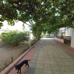 Satılır 8 otaqlı Həyət evi/villa, Binə qəs., Xəzər rayonu 19