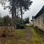 Satılır Torpaq Astara 9