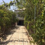 Satılır 5 otaqlı Bağ evi, Goradil, Abşeron rayonu 9