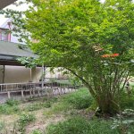 Satılır 6 otaqlı Həyət evi/villa, Neftçilər metrosu, Bakıxanov qəs., Sabunçu rayonu 22