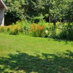 Kirayə (günlük) 4 otaqlı Həyət evi/villa Qax 8