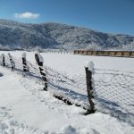 Продажа Участок Гябяля 8