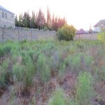 Satılır Torpaq, Novxanı, Abşeron rayonu 10