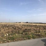 Satılır Torpaq, Binə qəs., Xəzər rayonu 4