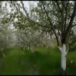 Satılır Torpaq Xaçmaz 2