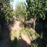 Satılır Torpaq, Binə qəs., Xəzər rayonu 8