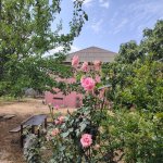 Satılır 4 otaqlı Bağ evi, Saray, Ceyranbatan gölü, Abşeron rayonu 1