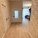 Аренда 2 комнатная Новостройка, м. Гянджлик метро, Насими район 8