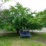 Kirayə (günlük) 5 otaqlı Həyət evi/villa İsmayıllı 45