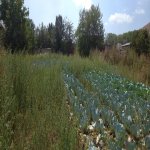 Продажа Участок Гядябяй 4
