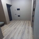 Kirayə (aylıq) 2 otaqlı Yeni Tikili, Nizami metrosu, Kubinka, Nəsimi rayonu 12