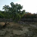 Satılır 2 otaqlı Həyət evi/villa, Hövsan qəs., Suraxanı rayonu 12