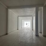 Kirayə (aylıq) Obyekt, Nəsimi rayonu 5