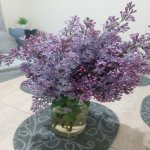 Kirayə (günlük) 3 otaqlı Həyət evi/villa Qusar 22