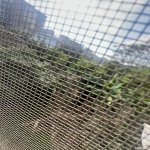 Satılır 6 otaqlı Həyət evi/villa, Qaraçuxur qəs., Suraxanı rayonu 19