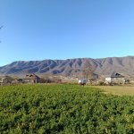 Satılır Torpaq Qusar 6