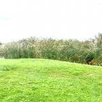 Продажа Объект Хачмаз 17