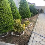 Kirayə (günlük) 4 otaqlı Həyət evi/villa, Mərdəkan, Xəzər rayonu 29