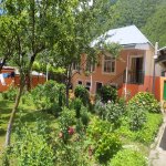 Kirayə (günlük) 3 otaqlı Həyət evi/villa Qax 8