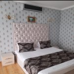 Kirayə (günlük) 7 otaqlı Həyət evi/villa Qəbələ 9