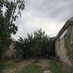 Satılır 3 otaqlı Həyət evi/villa Göyçay 3