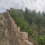 Продажа Участок, Новханы, Абшерон район 14