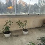 Satılır 2 otaqlı Köhnə Tikili, Elmlər akademiyası metrosu, Yasamal rayonu 16