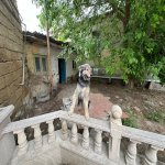Satılır 3 otaqlı Həyət evi/villa Xırdalan 16