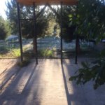 Satılır Torpaq, Mərdəkan, Xəzər rayonu 17