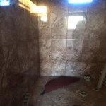 Satılır 2 otaqlı Həyət evi/villa, Azadlıq metrosu, Binəqədi qəs., Binəqədi rayonu 7