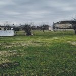 Satılır 6 otaqlı Bağ evi Masallı 6
