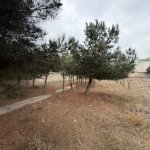 Satılır Torpaq, Şüvəlan, Xəzər rayonu 3