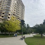 Аренда 2 комнатная Новостройка, м. 28 Мая метро, 28 Малл, Насими район 27