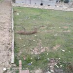 Satılır Torpaq Quba 4