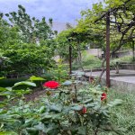 Satılır 16 otaqlı Həyət evi/villa, Neftçilər metrosu, Bakıxanov qəs., Sabunçu rayonu 16