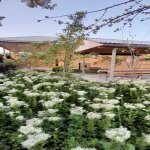Kirayə (günlük) 2 otaqlı Həyət evi/villa İsmayıllı 12