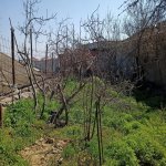 Satılır Torpaq, Azadlıq metrosu, 7-ci mikrorayon, Binəqədi rayonu 6