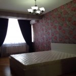 Kirayə (aylıq) 3 otaqlı Yeni Tikili, Gənclik metrosu, Nərimanov rayonu 13