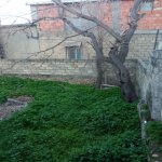 Продажа Участок, пос. Рясулзаде, Бинагадинский р-н район 13