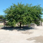 Продажа 3 комнатная Дома/Виллы, пос. Бинагяди, Бинагадинский р-н район 15