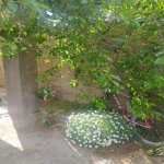 Satılır 6 otaqlı Həyət evi/villa, Binə qəs., Xəzər rayonu 19