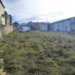 Аренда Объект, Хокмяли, Абшерон район 11