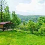 Kirayə (günlük) 3 otaqlı Həyət evi/villa Lerik 2